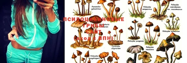 spice Абдулино